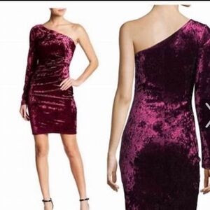 Eliza J Velvet Burgundy Crushed Velvet Dress